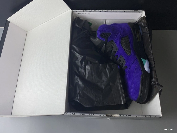 Grape” 136027-500 Jordan Air  5 “Alternate 0106